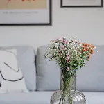 Vysoka 4* Bratislava