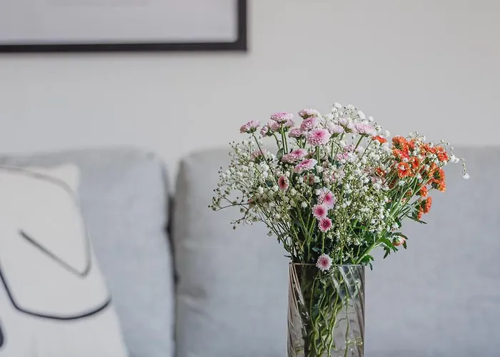 Vysoka 4* Bratislava